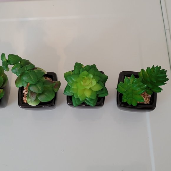 Artificial Succulents - Picture 2 of 4